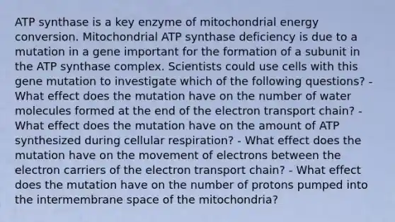 ATP synthase is a key enzyme of mitochondrial energy conversion. Mitochondrial ATP synthase deficiency is due to a mutation in a gene important for the formation of a subunit in the ATP synthase complex. Scientists could use cells with this gene mutation to investigate which of the following questions? - What effect does the mutation have on the number of water molecules formed at the end of the electron transport chain? - What effect does the mutation have on the amount of ATP synthesized during cellular respiration? - What effect does the mutation have on the movement of electrons between the electron carriers of the electron transport chain? - What effect does the mutation have on the number of protons pumped into the intermembrane space of the mitochondria?