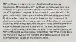 ATP synthase is a key enzyme of mitochondrial energy conversion. Mitochondrial ATP synthase deficiency is due to a mutation in a gene important for the formation of a subunit in the ATP synthase complex. Scientists could use cells with this gene mutation to investigate which of the following questions? A) What effect does the mutation have on the movement of electrons between the electron carriers of the electron transport chain? B) What effect does the mutation have on the number of water molecules formed at the end of the electron transport chain? C) What effect does the mutation have on the amount of ATP synthesized during cellular respiration? D) What effect does the mutation have on the number of protons pumped into the intermembrane space of the mitochondria?