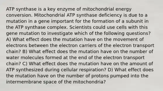 ATP synthase is a key enzyme of mitochondrial energy conversion. Mitochondrial ATP synthase deficiency is due to a mutation in a gene important for the formation of a subunit in the ATP synthase complex. Scientists could use cells with this gene mutation to investigate which of the following questions? A) What effect does the mutation have on the movement of electrons between the electron carriers of the electron transport chain? B) What effect does the mutation have on the number of water molecules formed at the end of the electron transport chain? C) What effect does the mutation have on the amount of ATP synthesized during cellular respiration? D) What effect does the mutation have on the number of protons pumped into the intermembrane space of the mitochondria?