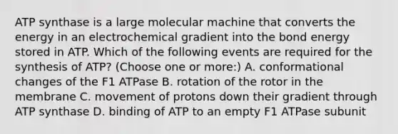 ATP synthase is a large molecular machine that converts the energy in an electrochemical gradient into the bond energy stored in ATP. Which of the following events are required for the synthesis of ATP? (Choose one or more:) A. conformational changes of the F1 ATPase B. rotation of the rotor in the membrane C. movement of protons down their gradient through ATP synthase D. binding of ATP to an empty F1 ATPase subunit