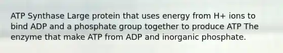 ATP Synthase Large protein that uses energy from H+ ions to bind ADP and a phosphate group together to produce ATP The enzyme that make ATP from ADP and inorganic phosphate.