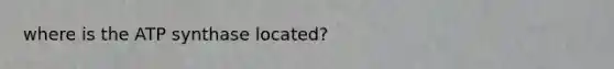 where is the ATP synthase located?