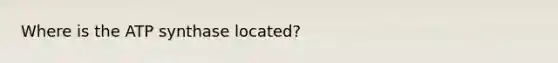 Where is the ATP synthase located?