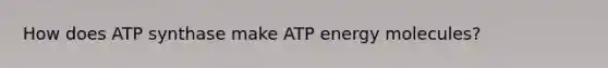 How does ATP synthase make ATP energy molecules?