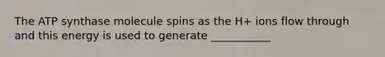 The ATP synthase molecule spins as the H+ ions flow through and this energy is used to generate ___________