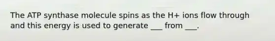 The ATP synthase molecule spins as the H+ ions flow through and this energy is used to generate ___ from ___.