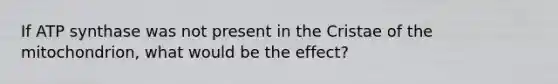 If ATP synthase was not present in the Cristae of the mitochondrion, what would be the effect?