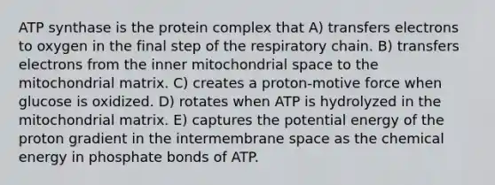 ATP synthase is the protein complex that A) transfers electrons to oxygen in the final step of the respiratory chain. B) transfers electrons from the inner mitochondrial space to the mitochondrial matrix. C) creates a proton-motive force when glucose is oxidized. D) rotates when ATP is hydrolyzed in the mitochondrial matrix. E) captures the potential energy of the proton gradient in the intermembrane space as the chemical energy in phosphate bonds of ATP.