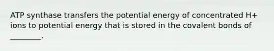 ATP synthase transfers the potential energy of concentrated H+ ions to potential energy that is stored in the covalent bonds of ________.