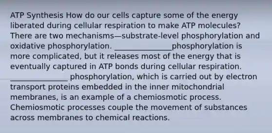 ATP Synthesis How do our cells capture some of the energy liberated during cellular respiration to make ATP molecules? There are two mechanisms—substrate-level phosphorylation and oxidative phosphorylation. _______________phosphorylation is more complicated, but it releases most of the energy that is eventually captured in ATP bonds during cellular respiration. _______________ phosphorylation, which is carried out by electron transport proteins embedded in the inner mitochondrial membranes, is an example of a chemiosmotic process. Chemiosmotic processes couple the movement of substances across membranes to chemical reactions.