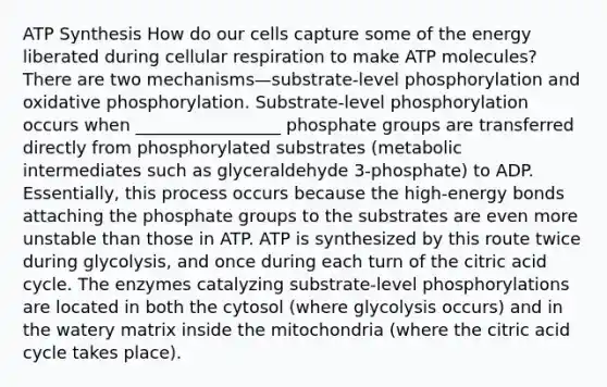 <a href='https://www.questionai.com/knowledge/kx3XpCJrFz-atp-synthesis' class='anchor-knowledge'>atp synthesis</a> How do our cells capture some of the energy liberated during <a href='https://www.questionai.com/knowledge/k1IqNYBAJw-cellular-respiration' class='anchor-knowledge'>cellular respiration</a> to make ATP molecules? There are two mechanisms—substrate-level phosphorylation and <a href='https://www.questionai.com/knowledge/kFazUb9IwO-oxidative-phosphorylation' class='anchor-knowledge'>oxidative phosphorylation</a>. Substrate-level phosphorylation occurs when _________________ phosphate groups are transferred directly from phosphorylated substrates (metabolic intermediates such as glyceraldehyde 3-phosphate) to ADP. Essentially, this process occurs because the high-energy bonds attaching the phosphate groups to the substrates are even more unstable than those in ATP. ATP is synthesized by this route twice during glycolysis, and once during each turn of the citric acid cycle. The enzymes catalyzing substrate-level phosphorylations are located in both the cytosol (where glycolysis occurs) and in the watery matrix inside the mitochondria (where the citric acid cycle takes place).