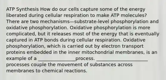 ATP Synthesis How do our cells capture some of the energy liberated during cellular respiration to make ATP molecules? There are two mechanisms—substrate-level phosphorylation and oxidative phosphorylation. Oxidative phosphorylation is more complicated, but it releases most of the energy that is eventually captured in ATP bonds during cellular respiration. Oxidative phosphorylation, which is carried out by electron transport proteins embedded in the inner mitochondrial membranes, is an example of a ________________process. ______________________ processes couple the movement of substances across membranes to chemical reactions.