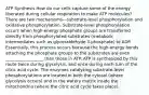 ATP Synthesis How do our cells capture some of the energy liberated during cellular respiration to make ATP molecules? There are two mechanisms—substrate-level phosphorylation and oxidative phosphorylation. Substrate-level phosphorylation occurs when high-energy phosphate groups are transferred directly from phosphorylated substrates (metabolic intermediates such as glyceraldehyde 3-phosphate) to ADP. Essentially, this process occurs because the high-energy bonds attaching the phosphate groups to the substrates are even __________________ than those in ATP. ATP is synthesized by this route twice during glycolysis, and once during each turn of the citric acid cycle. The enzymes catalyzing substrate-level phosphorylations are located in both the cytosol (where glycolysis occurs) and in the watery matrix inside the mitochondria (where the citric acid cycle takes place).