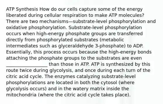 <a href='https://www.questionai.com/knowledge/kx3XpCJrFz-atp-synthesis' class='anchor-knowledge'>atp synthesis</a> How do our cells capture some of the energy liberated during <a href='https://www.questionai.com/knowledge/k1IqNYBAJw-cellular-respiration' class='anchor-knowledge'>cellular respiration</a> to make ATP molecules? There are two mechanisms—substrate-level phosphorylation and <a href='https://www.questionai.com/knowledge/kFazUb9IwO-oxidative-phosphorylation' class='anchor-knowledge'>oxidative phosphorylation</a>. Substrate-level phosphorylation occurs when high-energy phosphate groups are transferred directly from phosphorylated substrates (metabolic intermediates such as glyceraldehyde 3-phosphate) to ADP. Essentially, this process occurs because the high-energy bonds attaching the phosphate groups to the substrates are even __________________ than those in ATP. ATP is synthesized by this route twice during glycolysis, and once during each turn of the citric acid cycle. The enzymes catalyzing substrate-level phosphorylations are located in both the cytosol (where glycolysis occurs) and in the watery matrix inside the mitochondria (where the citric acid cycle takes place).