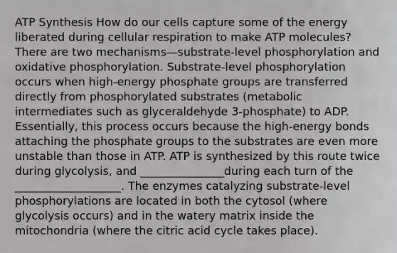 <a href='https://www.questionai.com/knowledge/kx3XpCJrFz-atp-synthesis' class='anchor-knowledge'>atp synthesis</a> How do our cells capture some of the energy liberated during <a href='https://www.questionai.com/knowledge/k1IqNYBAJw-cellular-respiration' class='anchor-knowledge'>cellular respiration</a> to make ATP molecules? There are two mechanisms—substrate-level phosphorylation and <a href='https://www.questionai.com/knowledge/kFazUb9IwO-oxidative-phosphorylation' class='anchor-knowledge'>oxidative phosphorylation</a>. Substrate-level phosphorylation occurs when high-energy phosphate groups are transferred directly from phosphorylated substrates (metabolic intermediates such as glyceraldehyde 3-phosphate) to ADP. Essentially, this process occurs because the high-energy bonds attaching the phosphate groups to the substrates are even more unstable than those in ATP. ATP is synthesized by this route twice during glycolysis, and _______________during each turn of the ___________________. The enzymes catalyzing substrate-level phosphorylations are located in both the cytosol (where glycolysis occurs) and in the watery matrix inside the mitochondria (where the citric acid cycle takes place).