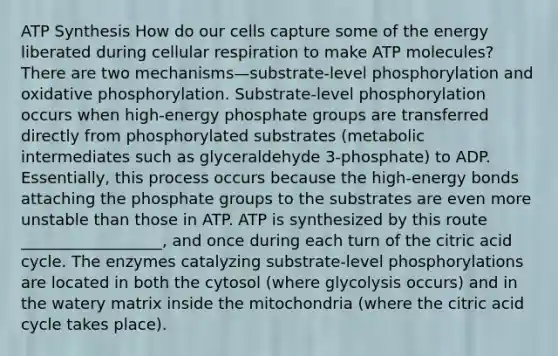 ATP Synthesis How do our cells capture some of the energy liberated during cellular respiration to make ATP molecules? There are two mechanisms—substrate-level phosphorylation and oxidative phosphorylation. Substrate-level phosphorylation occurs when high-energy phosphate groups are transferred directly from phosphorylated substrates (metabolic intermediates such as glyceraldehyde 3-phosphate) to ADP. Essentially, this process occurs because the high-energy bonds attaching the phosphate groups to the substrates are even more unstable than those in ATP. ATP is synthesized by this route __________________, and once during each turn of the citric acid cycle. The enzymes catalyzing substrate-level phosphorylations are located in both the cytosol (where glycolysis occurs) and in the watery matrix inside the mitochondria (where the citric acid cycle takes place).