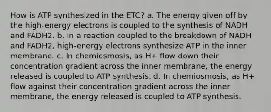 How is ATP synthesized in the ETC? a. The energy given off by the high-energy electrons is coupled to the synthesis of NADH and FADH2. b. In a reaction coupled to the breakdown of NADH and FADH2, high-energy electrons synthesize ATP in the inner membrane. c. In chemiosmosis, as H+ flow down their concentration gradient across the inner membrane, the energy released is coupled to <a href='https://www.questionai.com/knowledge/kx3XpCJrFz-atp-synthesis' class='anchor-knowledge'>atp synthesis</a>. d. In chemiosmosis, as H+ flow against their concentration gradient across the inner membrane, the energy released is coupled to ATP synthesis.