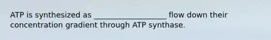 ATP is synthesized as ___________________ flow down their concentration gradient through ATP synthase.