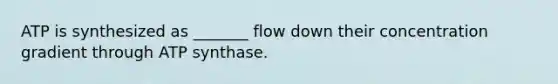 ATP is synthesized as _______ flow down their concentration gradient through ATP synthase.