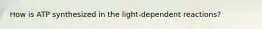 How is ATP synthesized in the light-dependent reactions?