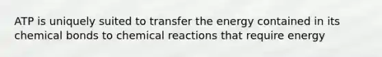 ATP is uniquely suited to transfer the energy contained in its chemical bonds to chemical reactions that require energy