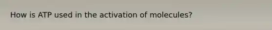 How is ATP used in the activation of molecules?