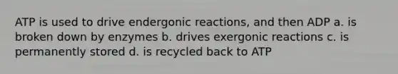 ATP is used to drive endergonic reactions, and then ADP a. is broken down by enzymes b. drives exergonic reactions c. is permanently stored d. is recycled back to ATP