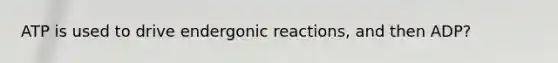 ATP is used to drive endergonic reactions, and then ADP?