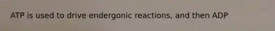 ATP is used to drive endergonic reactions, and then ADP