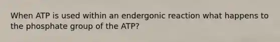 When ATP is used within an endergonic reaction what happens to the phosphate group of the ATP?