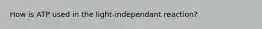 How is ATP used in the light-independant reaction?