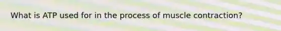 What is ATP used for in the process of muscle contraction?