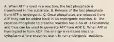 A. When ATP is used in a reaction, the last phosphate is transferred to the substrate. B. Release of the last phosphate from ATP is endergonic. C. Once phosphates are released from ATP they can be added back in an endergonic reaction. D. The creatine-Phosphate to creatine reaction has a ΔG of -11kcal/mole and thus can be used to generate ATP from ADP. E. When ATP is hydrolyzed to form ADP, the energy is released into the cytoplasm where enzymes use it to run endergonic reactions.