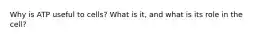 Why is ATP useful to cells? What is it, and what is its role in the cell?