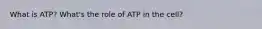 What is ATP? What's the role of ATP in the cell?