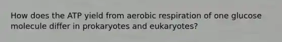 How does the ATP yield from aerobic respiration of one glucose molecule differ in prokaryotes and eukaryotes?