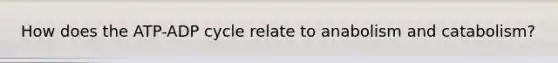 How does the ATP-ADP cycle relate to anabolism and catabolism?