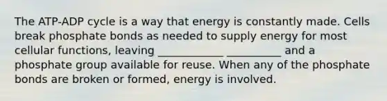 The ATP-ADP cycle is a way that energy is constantly made. Cells break phosphate bonds as needed to supply energy for most cellular functions, leaving ____________ __________ and a phosphate group available for reuse. When any of the phosphate bonds are broken or formed, energy is involved.