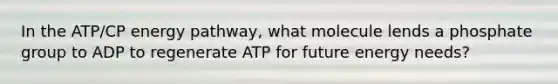 In the ATP/CP energy pathway, what molecule lends a phosphate group to ADP to regenerate ATP for future energy needs?