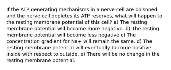 If the ATP-generating mechanisms in a nerve cell are poisoned and the nerve cell depletes its ATP reserves, what will happen to the resting membrane potential of this cell? a) The resting membrane potential will become more negative. b) The resting membrane potential will become less negative c) The concentration gradient for Na+ will remain the same. d) The resting membrane potential will eventually become positive inside with respect to outside. e) There will be no change in the resting membrane potential.