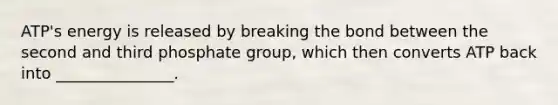 ATP's energy is released by breaking the bond between the second and third phosphate group, which then converts ATP back into _______________.