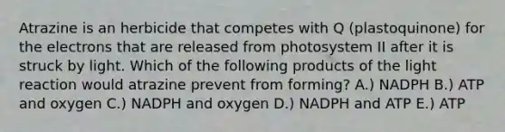 Atrazine is an herbicide that competes with Q (plastoquinone) for the electrons that are released from photosystem II after it is struck by light. Which of the following products of the light reaction would atrazine prevent from forming? A.) NADPH B.) ATP and oxygen C.) NADPH and oxygen D.) NADPH and ATP E.) ATP