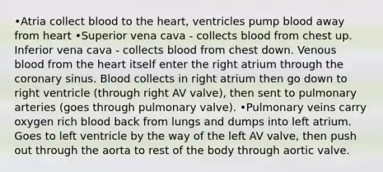 •Atria collect blood to the heart, ventricles pump blood away from heart •Superior vena cava - collects blood from chest up. Inferior vena cava - collects blood from chest down. Venous blood from the heart itself enter the right atrium through the coronary sinus. Blood collects in right atrium then go down to right ventricle (through right AV valve), then sent to pulmonary arteries (goes through pulmonary valve). •Pulmonary veins carry oxygen rich blood back from lungs and dumps into left atrium. Goes to left ventricle by the way of the left AV valve, then push out through the aorta to rest of the body through aortic valve.