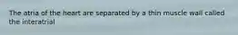 The atria of the heart are separated by a thin muscle wall called the interatrial
