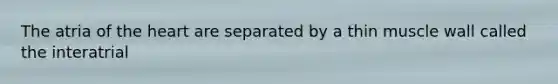 The atria of the heart are separated by a thin muscle wall called the interatrial