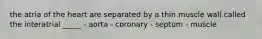 the atria of the heart are separated by a thin muscle wall called the interatrial _____ - aorta - coronary - septum - muscle