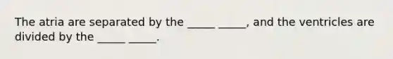 The atria are separated by the _____ _____, and the ventricles are divided by the _____ _____.