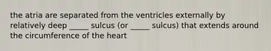 the atria are separated from the ventricles externally by relatively deep _____ sulcus (or _____ sulcus) that extends around the circumference of the heart