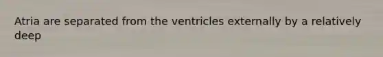 Atria are separated from the ventricles externally by a relatively deep