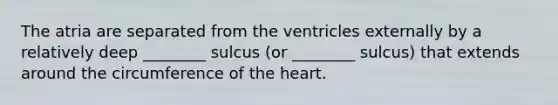 The atria are separated from the ventricles externally by a relatively deep ________ sulcus (or ________ sulcus) that extends around the circumference of the heart.